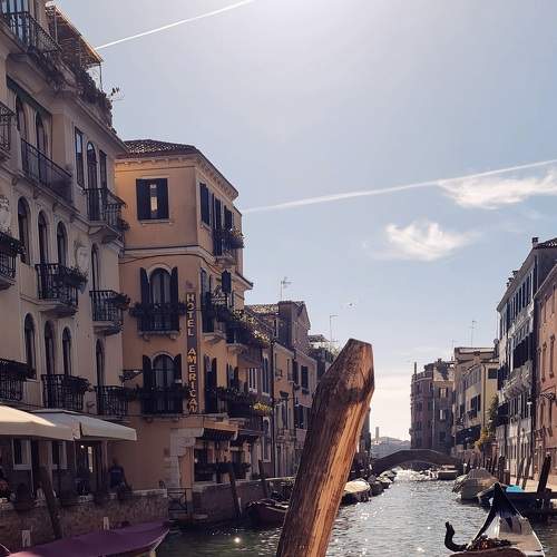 Photo #8373518