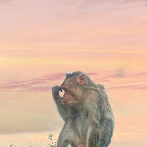 Photo #8373574