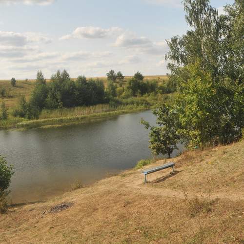 Photo #8373586
