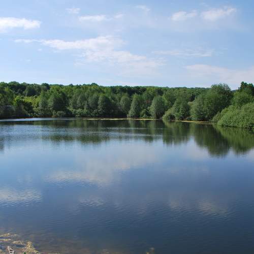 Photo #8373588