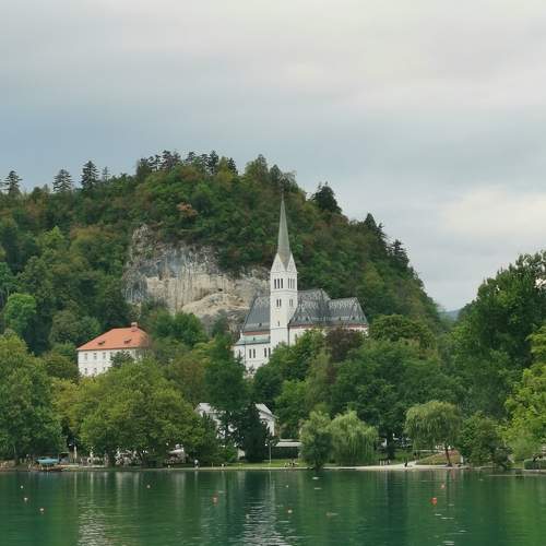 Photo #8373605
