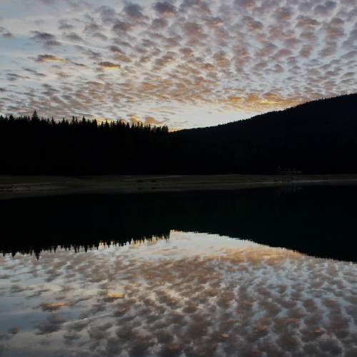 Photo #8373698