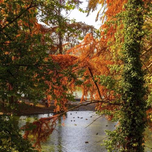 Photo #8373864