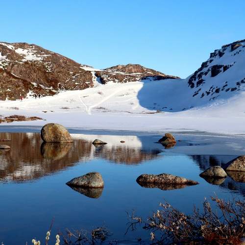 Photo #8373939