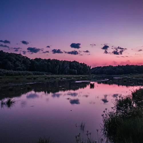 Photo #8373991