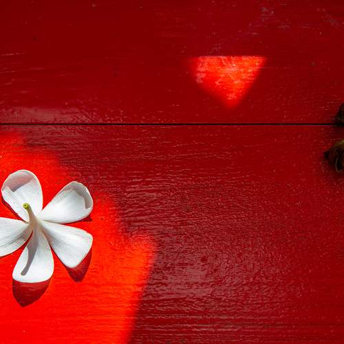 Photo #8374071