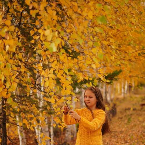 Photo #8374129