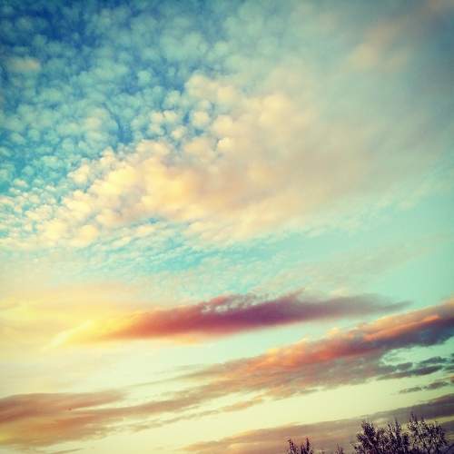 Photo #8374372