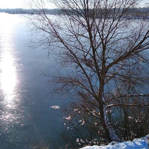 Photo #8374493