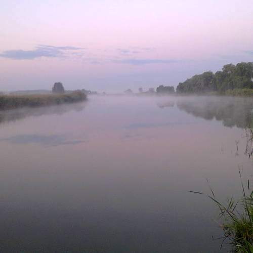 Photo #8374523