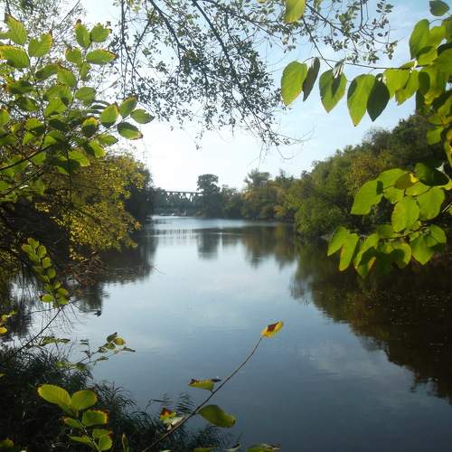Photo #8374549
