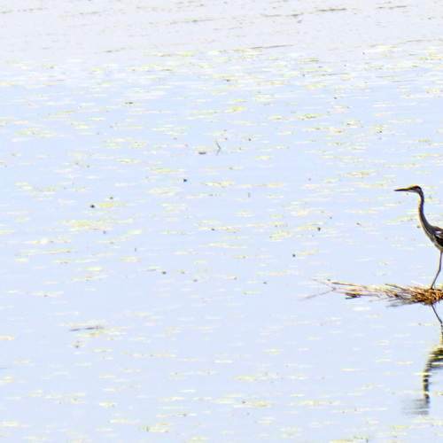 Photo #8374557