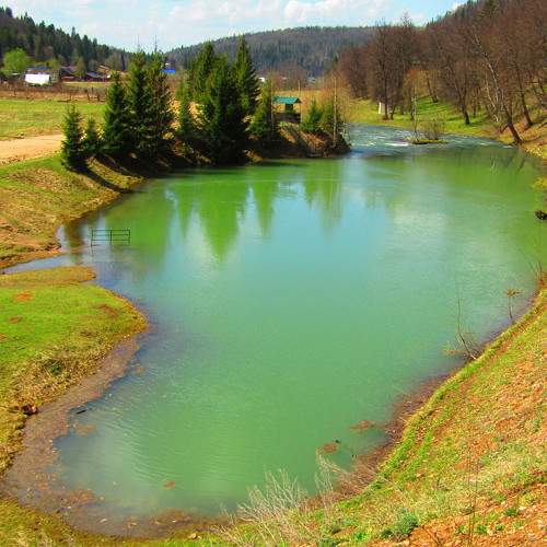 Photo #8374604