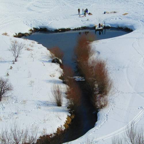 Photo #8374607