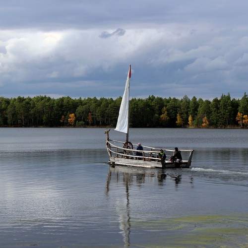 Photo #8374729