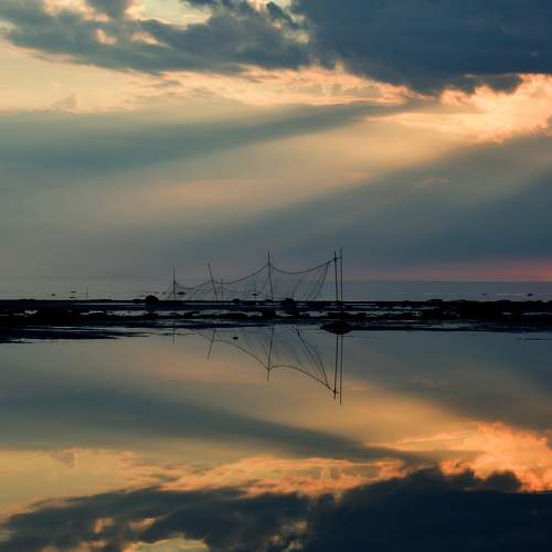 Photo #8375029