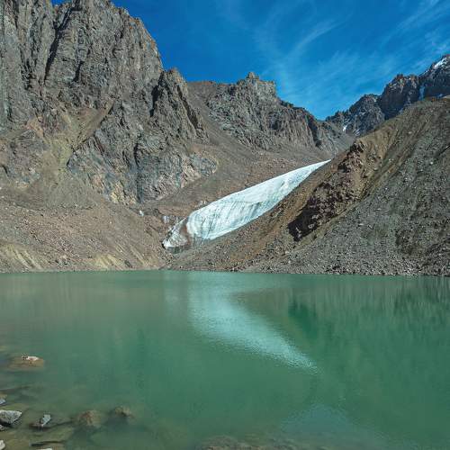 Photo #8375150