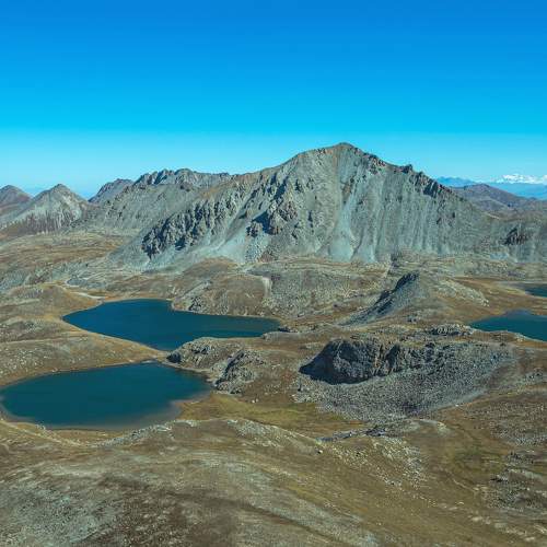 Photo #8375165