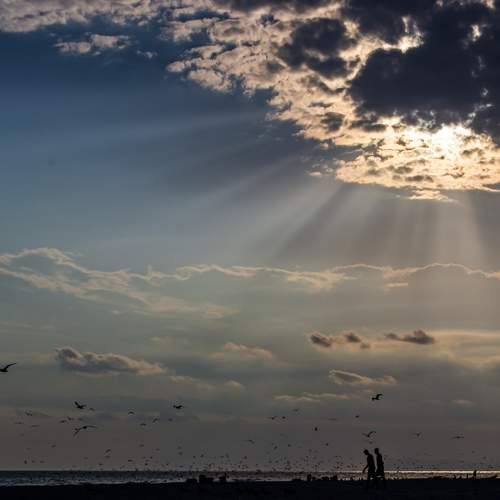 Photo #8375345