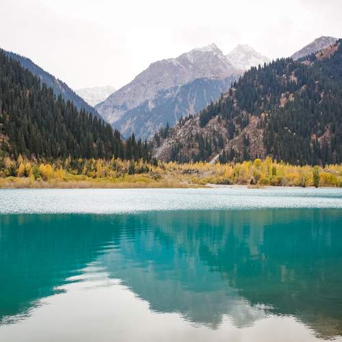 Photo #8375441