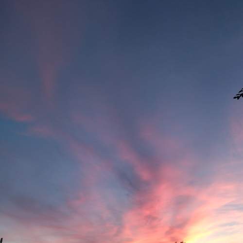 Photo #8375460