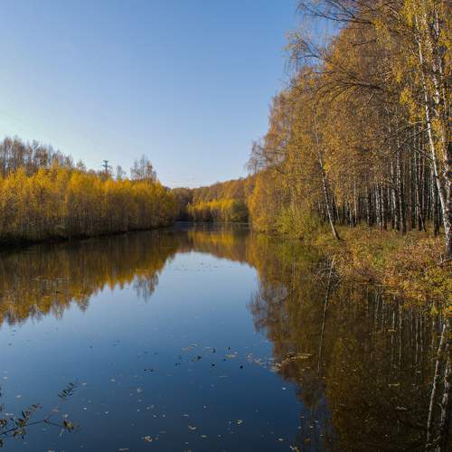 Photo #8375470