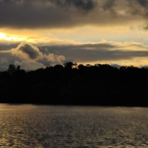 Photo #8375910