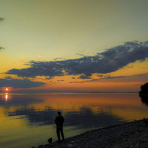 Photo #8376072