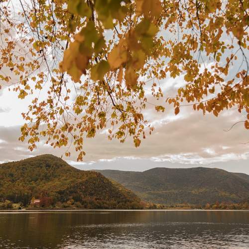 Photo #8376354