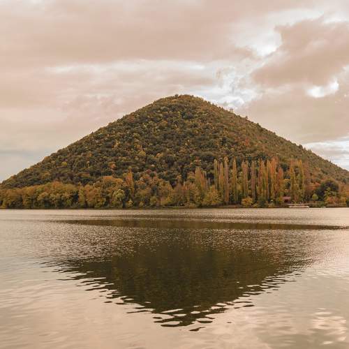 Photo #8376380