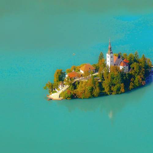 Photo #8376488