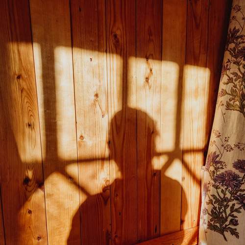Photo #8376489