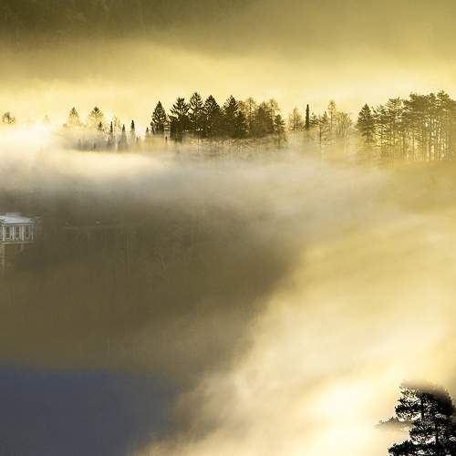 Photo #8376491