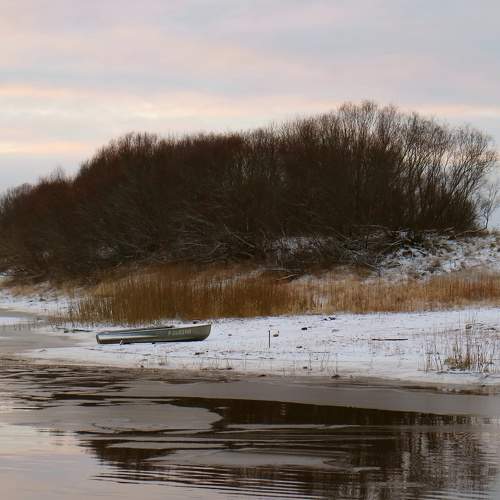 Photo #8376497