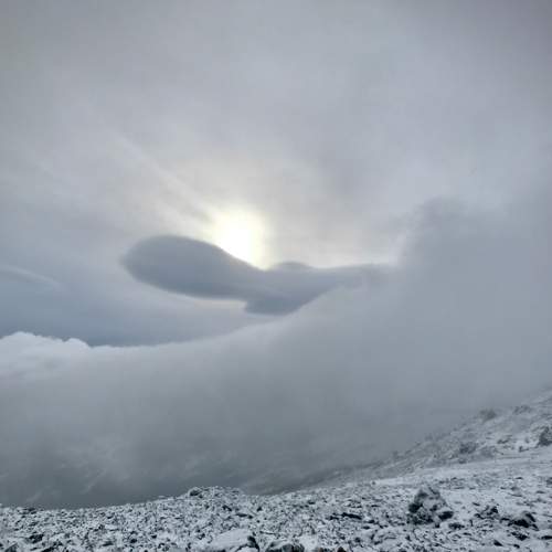 Photo #8376562