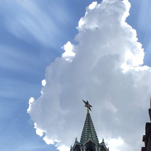 Photo #8376741