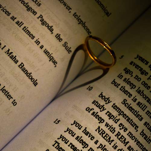 Photo #8376791