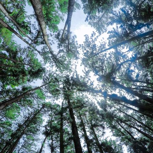 Photo #8376801