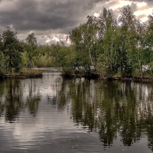 Photo #8376832