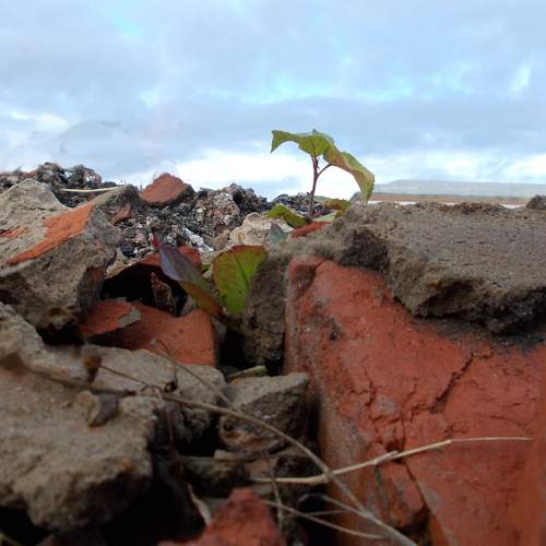 Photo #8376862