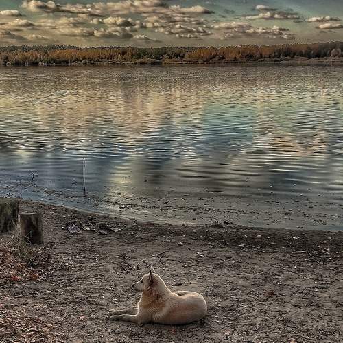 Photo #8376912