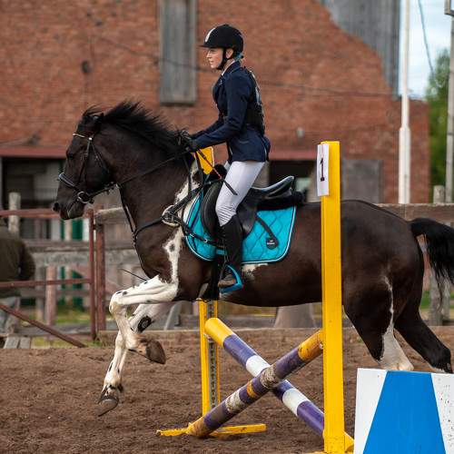 Photo #8376958