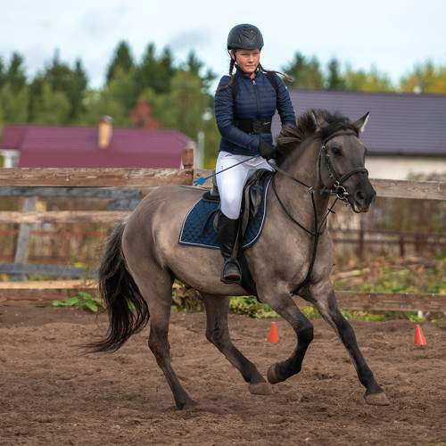 Photo #8376959