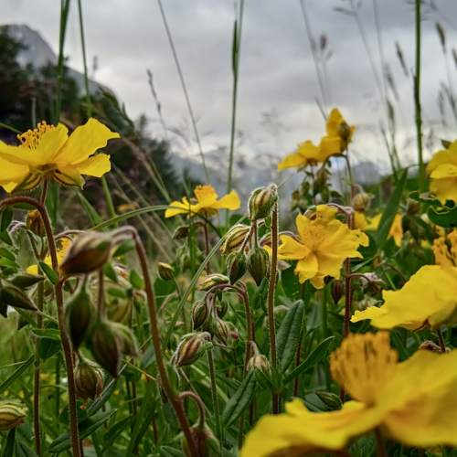 Photo #8377123