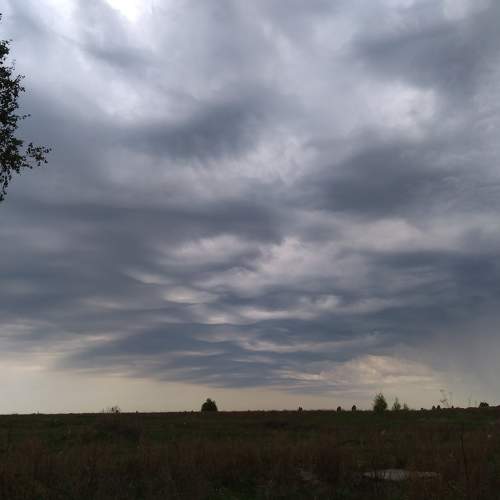 Photo #8377215