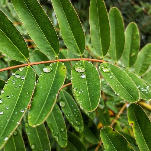 Photo #8377269