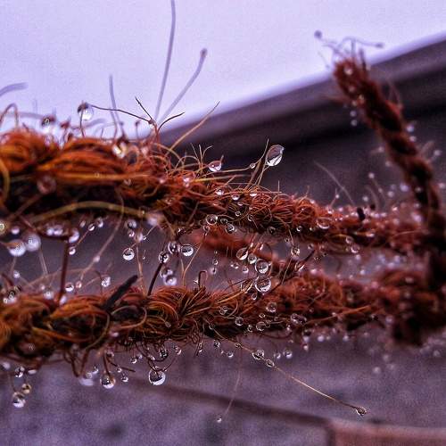 Photo #8377274