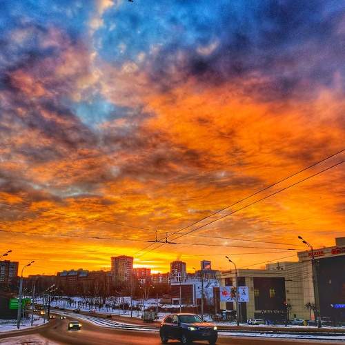 Photo #8377689