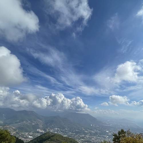 Photo #8377799