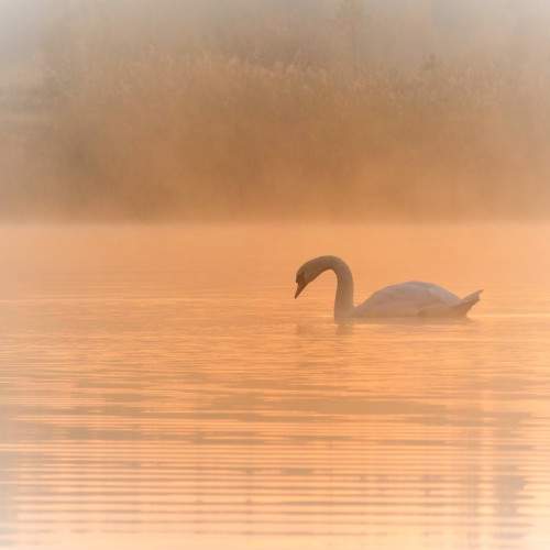 Photo #8377904